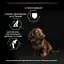 Сухий корм Purina Pro Plan Small & Mini Puppy <1 Healthy Start для цуценят дрібних порід з куркою 3 кг (12272132) - мініатюра 7