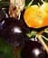 Саджанець Agro-Market Алича Блек Голд (літній сорт, середній термін дозрівання) 1 шт. в упаковці (40001) - мініатюра 1
