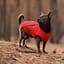Жилет Pet Fashion E.Vest для собак, розмір S, червоний - мініатюра 8