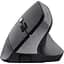 Мишка Trust Bayo 2 Ergonomic Wireless/USB-A Black (25145) - мініатюра 3