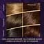 Стойкая крем-краска для волос Wella Color Perfect 4/0 Темный шоколад (4064666598291) - миниатюра 3