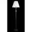 Торшер с абажуром Splendid-Ray 30-3555-52 - миниатюра 1