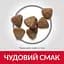 Сухий корм Hill's SP Kitten для котят та кішок у період вагітності та лактації з куркою 0.3 кг - мініатюра 4