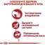 Набір вологого корму для дорослих кішок Royal Canin Instinctive Loaf  паштет 1.02 кг (12 шт. х 85 г) - мініатюра 6