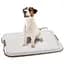 Лоток під гігієнічні пелюшки для собак Ferplast HYGIENIC PAD TRAY SMALL (FR85346311) - мініатюра 2