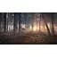 Ключ активації Microsoft TheHunter: Call of the Wild - Silver Bundle для Xbox One/Series - мініатюра 9