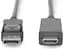 Кабель Digitus DisplayPort > HDMI (M/M), 2м, черный teh0013704 - миниатюра 3