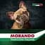 Сухий корм для собак Morando Tradizioni Grain Free з куркою та буряком 2.5 кг - мініатюра 5