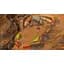 Ключ активації Microsoft Wild Pinball Bundle для Xbox One/Series S/X - мініатюра 7