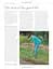 The Royal Horticultural Society Allotment Handbook. The Expert Guide for Every Fruit and Veg Grower - мініатюра 8