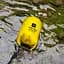 Водонепроникний рюкзак Armorstandart Waterproof Outdoor Gear 10L Yellow (ARM59237) [83961] - мініатюра 3