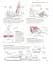Science of Yoga. Understand the Anatomy and Physiology to Perfect Your Practice - мініатюра 8