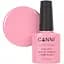Гель-лак Canni Color Coat Soak-off UV&LED 246 сіруватий рожевий 7.3 мл - мініатюра 1