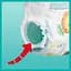 Подгузники трусики Pampers Pants 5 (12-17 кг), 28 шт. - миниатюра 2