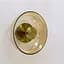 Бра Friendlylight Jellyfish WL Amber FL4116 - миниатюра 3