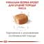 Сухий корм для цуценят породи Такса Royal Canin Dachshund Puppy, 1,5 кг (24370151) - мініатюра 3