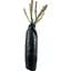 Саджанець Agro-Market Троянда плетиста Antikе (клас АА +) вищий сорт (37204) 1 шт. - мініатюра 3