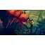 Ключ активації Microsoft Tad the Lost Explorer для Xbox One/Series S/X - мініатюра 5