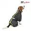 Комбінезон Pet Fashion Cold для собак, розмір 3XL, сірий - мініатюра 2