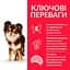 Сухий корм Hill’s SP Adult Light Small&Mini для собак малих і міні порід схильних до ожиріння з куркою 1.5 кг - мініатюра 3