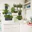 Комплект вазонів з кріпленням Lechuza Green Wall Home Kit Color 48х6х14 см сірий (13399) - мініатюра 6