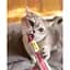Паста для кошек GimCat Every Day Multi-Vitamin Extra 100 г - миниатюра 4