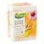 Чай трав'яний ароматизований Pickwick Ginger echinacea&lemon verbena + Vitamin C Immunity Super Blends 22.5 г (15 шт. по 1.5 г) - мініатюра 1