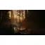 Ключ активації Microsoft Alan Wake 2 Deluxe Edition для Xbox Series S/X - мініатюра 8