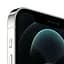 Смартфон Apple iPhone 12 Pro Max 256Gb Silver [MGDD3] [50890] - мініатюра 3