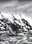 Дитя землі - мініатюра 14