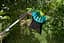 Плодосъемник Gardena Combisystem FruitPicker (03115-20.000.00) - миниатюра 7