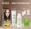 Стійка крем-фарба для волосся Acme Color Avena Naturals 6.37 карамельний  - мініатюра 5