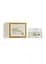 Денний крем для обличчя Avon ANEW 45+ SPF25 Омолодження Мультидогляд 15 мл - мініатюра 2