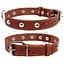 Ошейник "CoLLaR" одинарный с украшениями (ширина 20мм длина 32-40см) коричневый - миниатюра 1