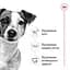 Сухой корм для взрослых собак Royal Canin Mini Adult с мясом птицы 8 кг - миниатюра 3