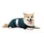 Комбінезон Pet Fashion Den для собак M3 - мініатюра 2