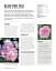 Grow Roses. Essential Know-how and Expert Advice for Gardening Success - мініатюра 11