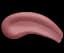Ультра-матова рідка помада L'Oréal Paris Les Chocolats, відтінок 842 (Candy Man), 7,6 мл (A9674600) - мініатюра 2