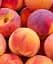 Саджанець Agro-Market Персик Фрост (літній сорт, середній термін дозрівання) 1 шт. в упаковці (39955) - мініатюра 1