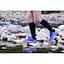 Водонепроникні шкарпетки Dexshell Longlite Socks 2.0, блакитні полоски, розмір M (39-42) - мініатюра 7
