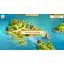 Ключ активації Microsoft Argonauts Agency 5: Captive of Circe для Xbox One/Series S/X - мініатюра 6