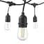 Уличная гирлянда с ретро-лампами LED Edison 15 шт, 24V, 10 метров - миниатюра 4