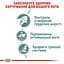 Набір вологого корму для дорослих котів Royal Canin Hairball Care шматочки в соусі 1.02 кг (12 шт. х 85 г) - мініатюра 4