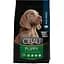 Сухий корм для цуценят великих порід Farmina Cibau Puppy Maxi Breed, з куркою, 12 кг - мініатюра 1