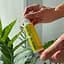 Антицеллюлитное сухое масло с ксименией Hillary Хimenia Anti-cellulite Dry Body Oil 100 мл - миниатюра 3