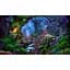 Ключ активации Microsoft Grim Legends: The Forsaken BRide для Xbox Series S/X - миниатюра 8