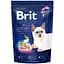 Сухой корм для котов Brit Premium Nature Cat Adult Chicken с курицей 300 г - миниатюра 1