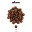 Сухий корм Chicopee (Чикопі) HNL Cat No Grain 8 кг холістик для дорослих котів і котів з м'ясом птиці - мініатюра 2