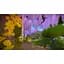Ключ активації Microsoft The Witness для Xbox One/Series S/X - мініатюра 13