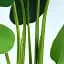 Штучна рослина Engard Banana Tree 120 см (TW-24 ) - мініатюра 6